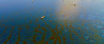 Oil Spill Image - Garrett and Associates